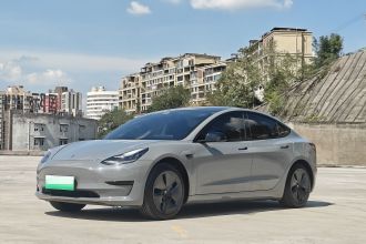 特斯拉 Model 3 2020款 标准续航后驱升级版