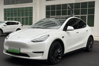 特斯拉 Model Y 2021款 Performance高性能全轮驱动版