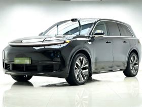 理想汽车 理想L9 2024款 Ultra