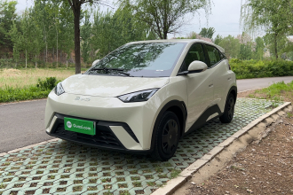 比亚迪 海鸥 2024款 荣耀版 305km 活力版