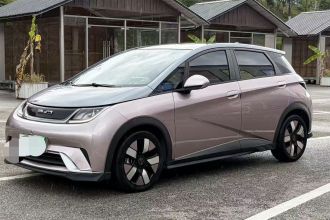 比亚迪 海豚 2021款 401km 骑士版