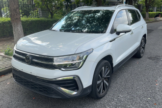 大众 途岳 2023款 300TSI 两驱皎月版