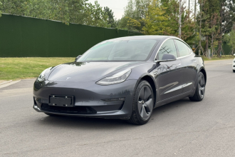 特斯拉 Model 3 2020款 改款 长续航后轮驱动版