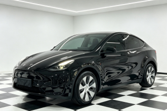 特斯拉 Model Y 2022款 后轮驱动版