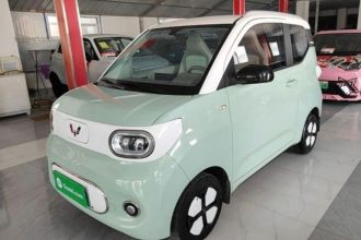 五菱汽车 宏光MINIEV 2024款 第三代 215km 进阶版