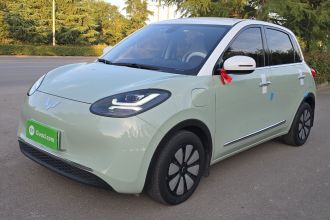 五菱汽车 五菱缤果 2023款 410km 灵犀尊享款