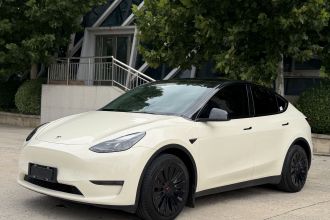 特斯拉 Model Y 2021款 标准续航后驱版