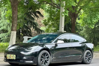 特斯拉 Model 3 2020款 标准续航后驱升级版