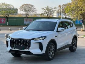 捷途X70 C-DM 2024款 远航版PRO 7座