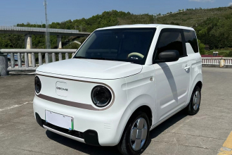 吉利银河 2024款 熊猫mini 200km 耐力熊