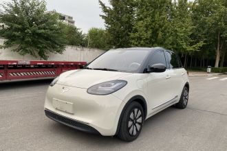 五菱汽车 五菱缤果 2023款 333km 灵犀互联款