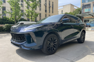 东风风行 风行T5 EVO 2021款 1.5TD DCT钻石版