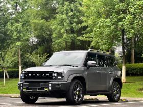 捷途山海 捷途旅行者C-DM 2024款 C-DM 208KM 山野版