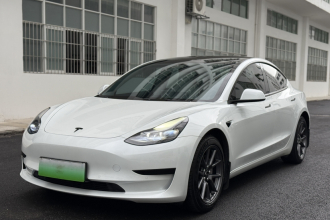 特斯拉 Model 3 2021款 标准续航后驱升级版 3D6