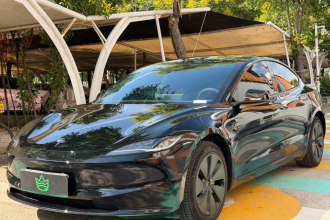 特斯拉 Model 3(进口) 2019款 标准续航后驱升级版(52度)