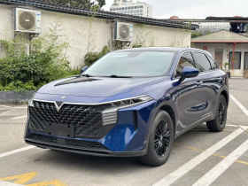 启辰大V 2021款 260T 爱豆版