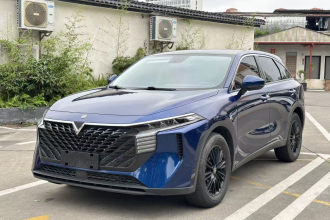 启辰大V 2021款 260T 爱豆版