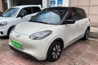 五菱汽车 五菱缤果 2024款 333km 灵犀互联款
