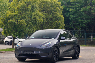 特斯拉 Model Y 2021款 长续航全轮驱动版