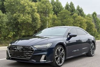 奥迪A7L 2022款 55 TFSI quattro S-line 志远型流晶套装