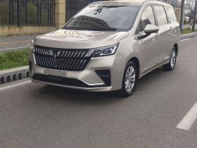 五菱汽车 五菱佳辰 2022款 1.5L 手动畅享舒适型