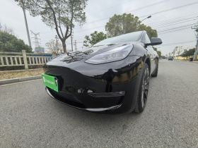 特斯拉 Model Y 2022款 Performance高性能全轮驱动版