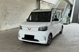 五菱汽车 五菱之光新能源 2025款 305km 进取型