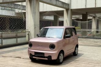 吉利银河 2023款 熊猫mini 200km 耐力熊