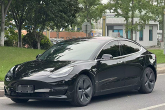 特斯拉 Model 3(进口) 2019款 长续航后驱版