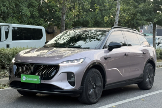 岚图汽车 岚图知音 2024款 四驱全球版