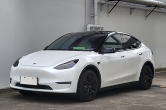 特斯拉 Model Y 2021款 标准续航后驱版