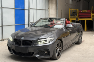 宝马2系(进口) 2019款 225i 敞篷轿跑车 尊享型 M运动套装