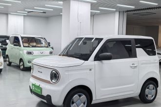 吉利银河 2023款 熊猫mini 200km 耐力熊