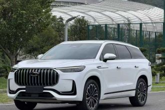 奇瑞 瑞虎9 2023款 2.0T 双离合两驱豪华版 5座
