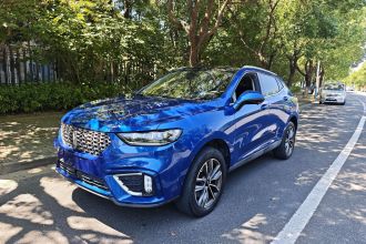 魏牌 VV5 2021款 1.5T 两驱颜先锋