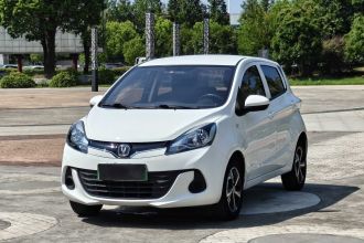 长安 奔奔E-Star 2021款 国民版 心悦版 磷酸铁锂（31.18kWh）