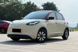 五菱汽车 五菱缤果 2023款 333km 灵犀互联款