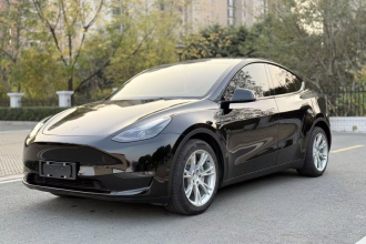 特斯拉 Model Y 2021款 长续航全轮驱动版