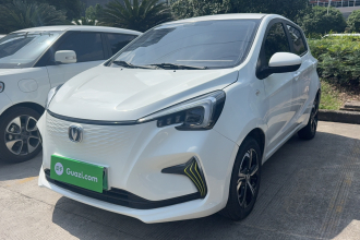 长安 奔奔E-Star 2020款 心动版 三元锂