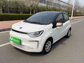 思皓 花仙子 2021款 200km 经典型