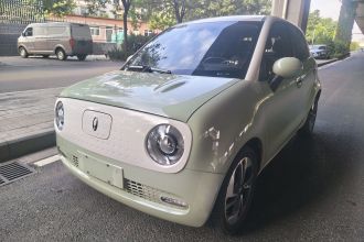 欧拉黑猫 2022款 351km 舒适型 三元锂