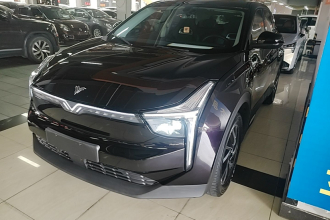 哪吒汽车 哪吒U 2021款 Pro 400 巡航版