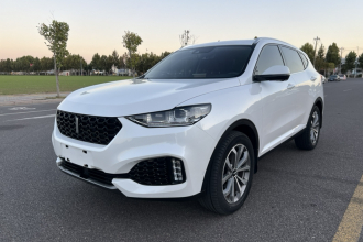 魏牌 VV6 2018款 2.0T 两驱旗舰型 国V