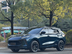 东风风行 风行T5 EVO 2021款 1.5TD DCT星耀版