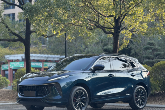 东风风行 风行T5 EVO 2021款 1.5TD DCT星耀版