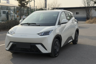 比亚迪 海鸥 2025款 305km 活力版