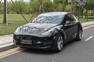 特斯拉 Model Y 2021款 长续航全轮驱动版 3D7