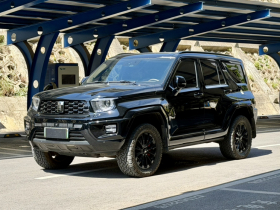 坦克700新能源 2024款 Hi4-T 极境版