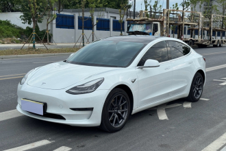 特斯拉 Model 3 2020款 改款 长续航后轮驱动版