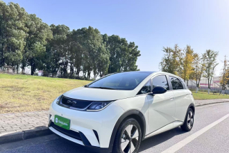 比亚迪 海豚 2023款 420km 时尚版